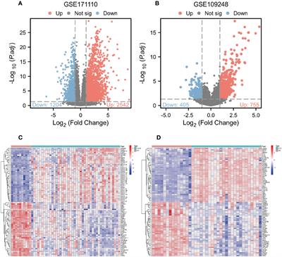 Bioinformatics analyses of gene expression profile to identify pathogenic mechanisms for COVID-19 infection and cutaneous lupus erythematosus